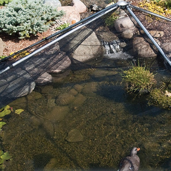 pond shelter