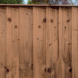 Feather Edge Fence Panel - various sizes