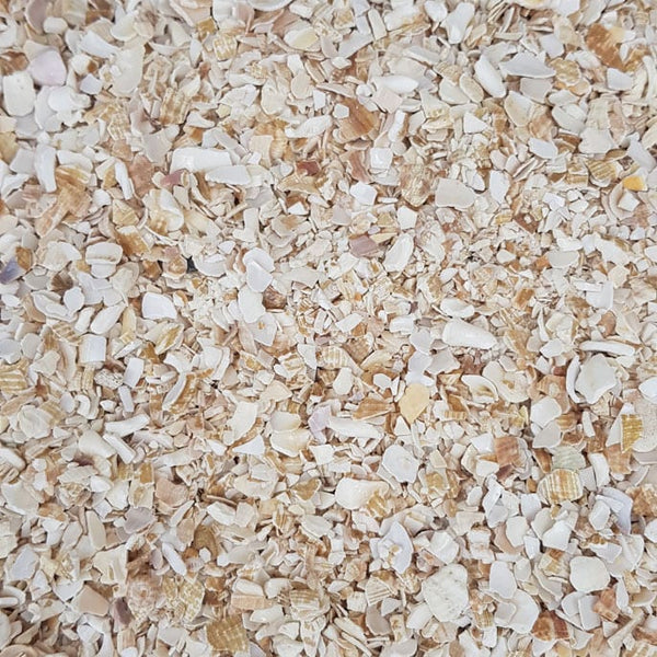 sea shell chippings