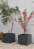 Square Planter - Black or Grey