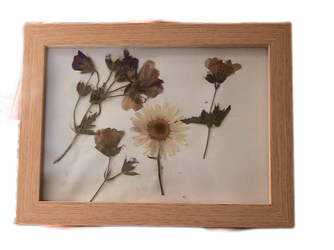 Pressed Flowers in A5 Wooden Frame - Wildflower Mix