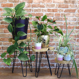 Wooden plant stands (set of 3)