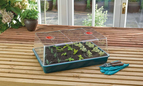 XL Propagator