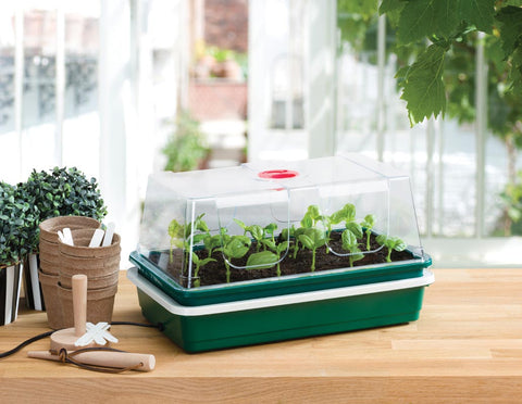 Electric Propagator - 8w