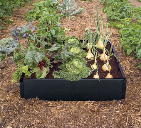 Raised Bed Kit