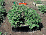 Raised Bed Kit