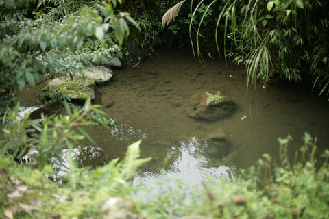 Wildlife Pond Kit